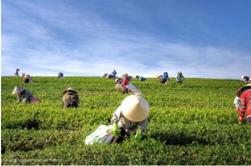 BCorp共益企业认证对评估企业公司供应链风险准则