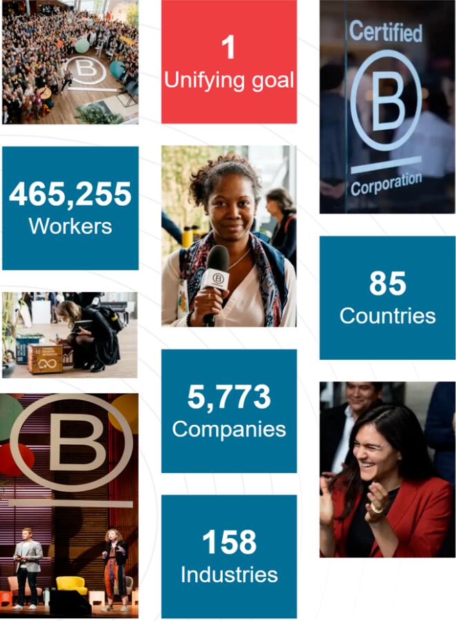 Bcorp认证对公司政策文档通常包含标准组件要求